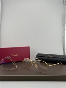 Очки CARTIER 186257