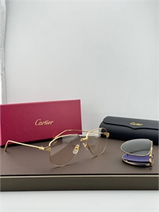 Очки CARTIER 186258