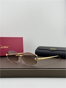Очки CARTIER 186259