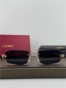 Очки CARTIER 186349