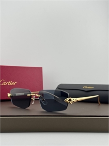 Очки CARTIER 187317