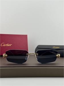 Очки CARTIER 187317