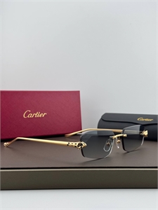 Очки CARTIER 187318