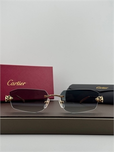 Очки CARTIER 187318