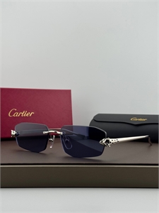 Очки CARTIER 187319