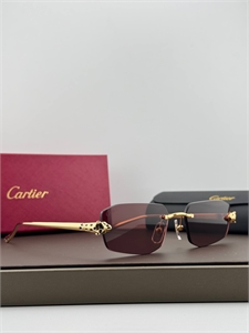 Очки CARTIER 187320