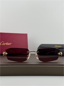 Очки CARTIER 187320