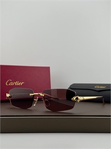Очки CARTIER 187320