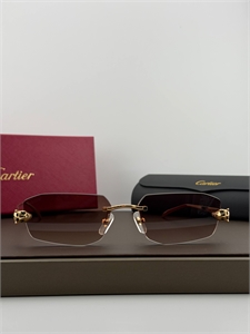 Очки CARTIER 187321
