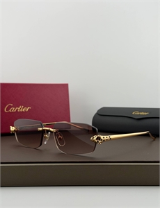 Очки CARTIER 187321