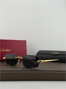 Очки CARTIER 187322