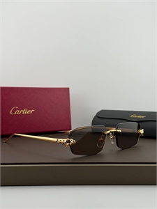 Очки CARTIER 187323