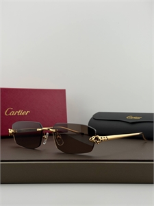 Очки CARTIER 187323