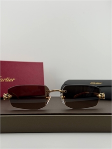 Очки CARTIER 187323
