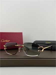 Очки CARTIER 187330