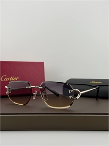 Очки CARTIER 187331