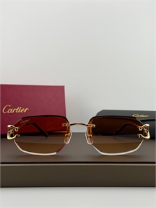 Очки CARTIER 187332