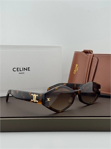 Очки CELINE 187337