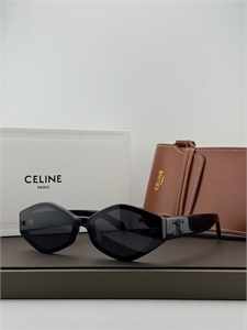 Очки CELINE 187345
