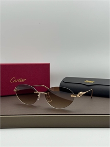 Очки CARTIER 188026