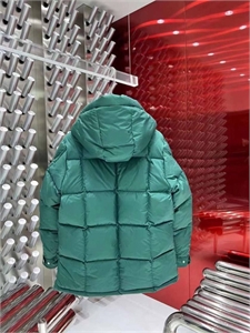 Пуховик Moncler 103402 - фото 96694