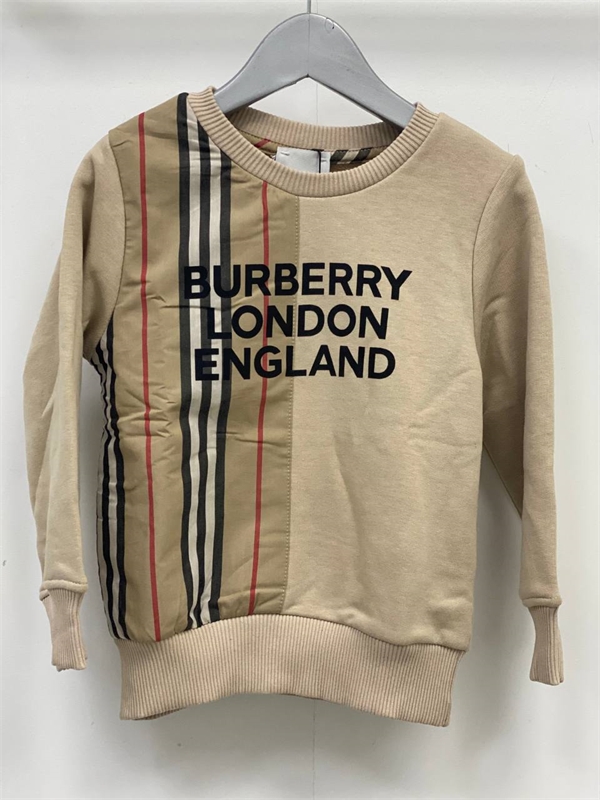 Толстовка Burberry BMS-96165 - фото 109124