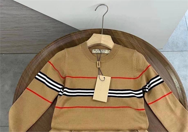 Свитер Burberry 8945 - фото 109784