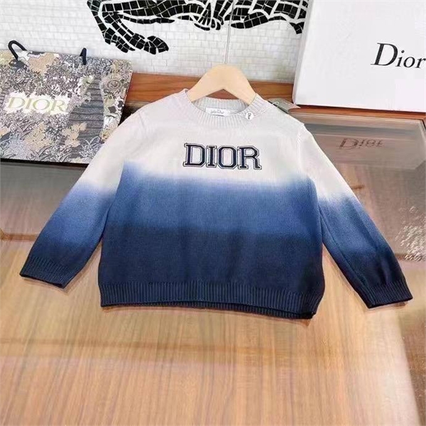 Толстовка Dior 8941 - фото 109787