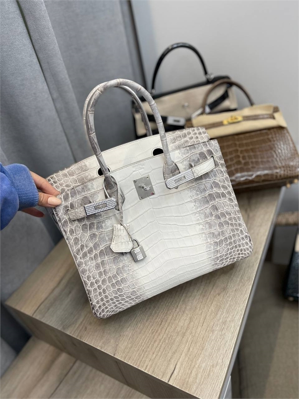 Сумка Hermes Himalaya Birkin 30см из кожи крокодила и с бриллиантами 116251 - фото 142201