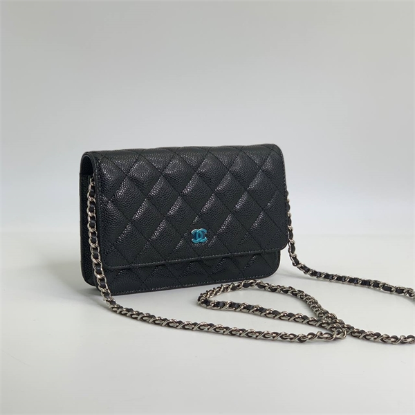 Сумка CHANEL 19 см 126119 - фото 187752