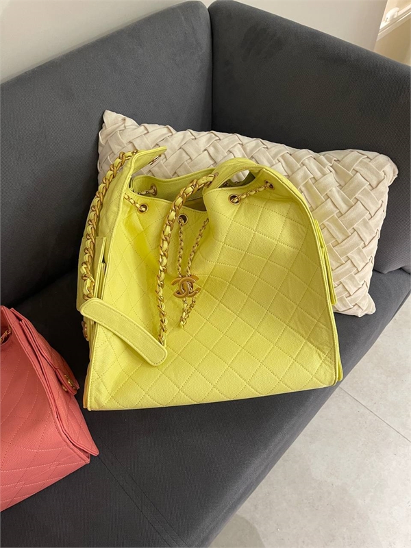 Сумка Chanel 25cm 136859 - фото 245970