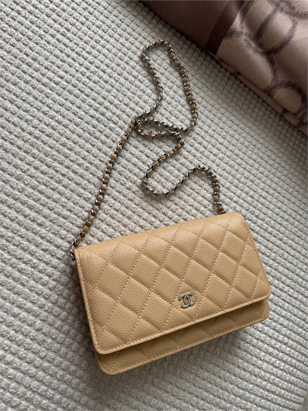 Сумка Chanel woc 136886 - фото 246195