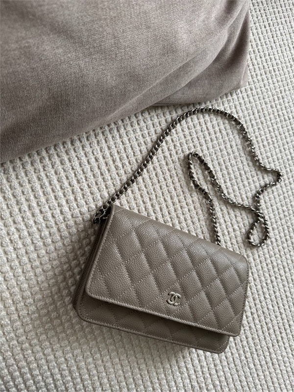 Сумка Chanel woc 136887 - фото 246199