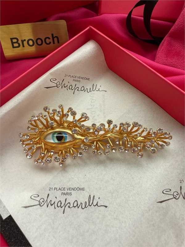 Брошь Schiaparelli 143648 - фото 278807
