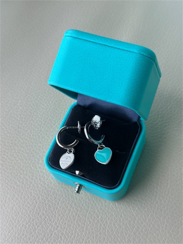 Серьги Tiffany&Co Серебро 925 п 144260 - фото 281859
