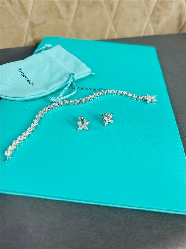 Серьги Tiffany&Co Серебро 925 п 146482 - фото 295272