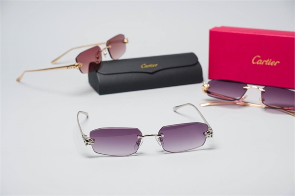 Очки CARTIER 148526 - фото 306908