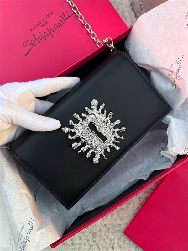 Сумка Schiaparelli 156596 - фото 351510