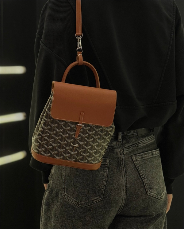 Рюкзак GOYARD 164113