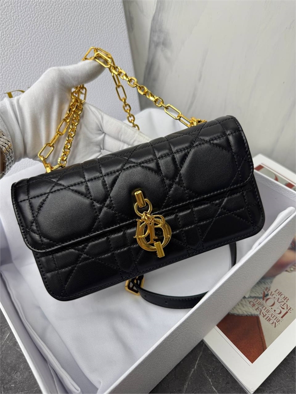 Сумка DIOR 165451