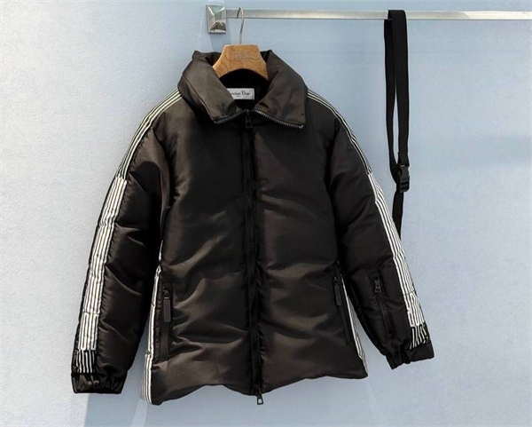 Пуховик DIOR 168843