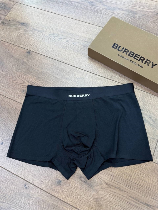 Нижнее бельё BURBERRY (боксёры) 170976