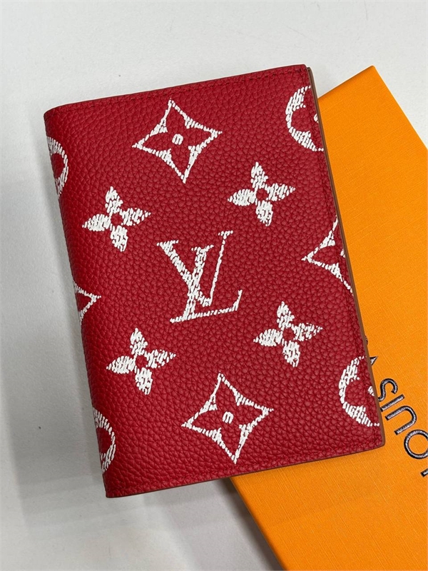 Обложка  LOUIS VUITTON 172258