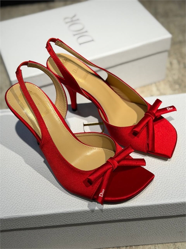 Туфли DIOR 173328