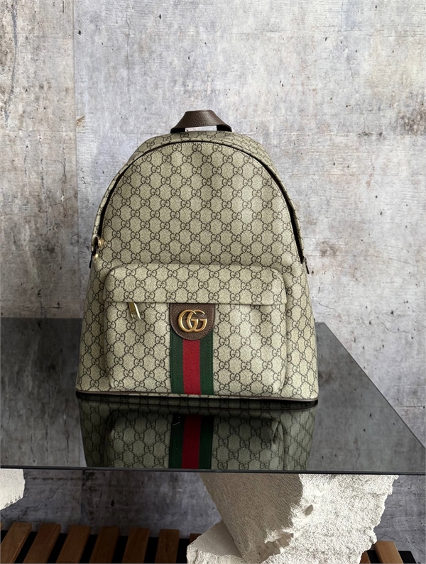 Рюкзак  GUCCI 173886