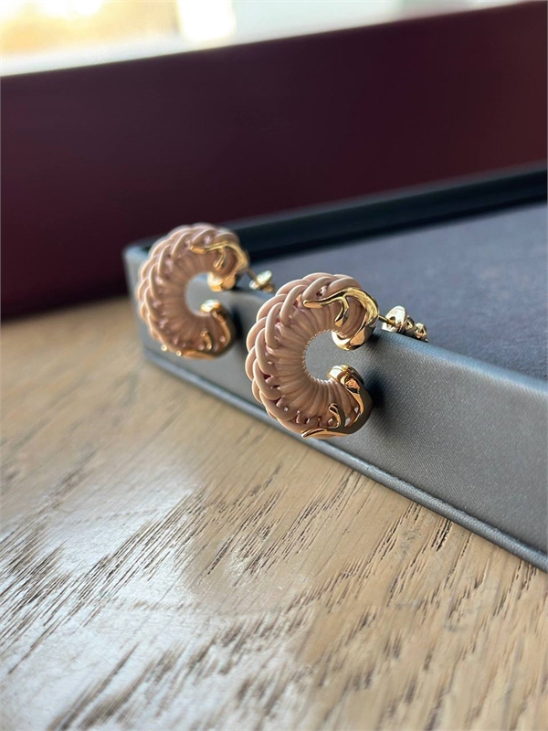 Серьги FENDI 174119