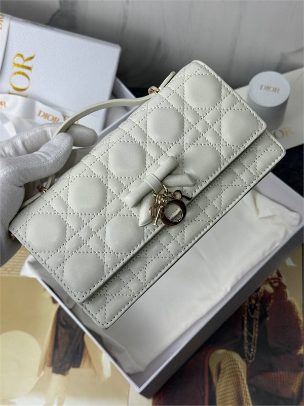 Сумка DIOR 174853