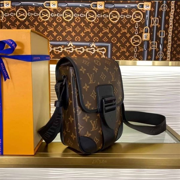 сумка Louis Vuitton 23154 - фото 48302