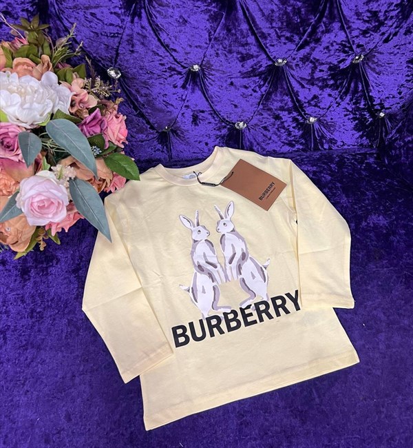 Кофта Burberry 9023 - фото 80822