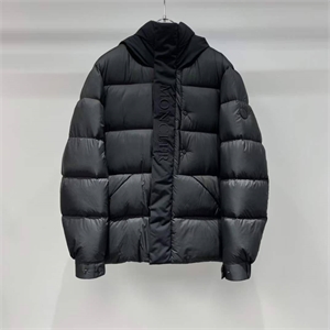 {{productViewItem.photos[photoViewList.activeNavIndex].Alt || productViewItem.photos[photoViewList.activeNavIndex].Description || 'Пуховик moncler'}}